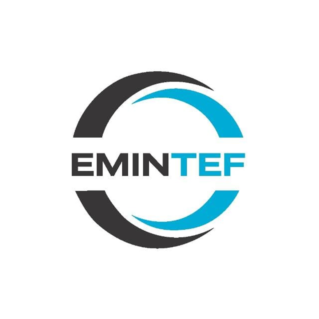 Logo EMINTEF